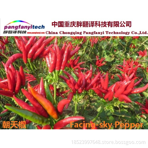 Healthy Spict Chilli Pepper Powder
